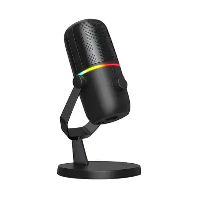 HAYLOU GX1 Professional Live Microphone